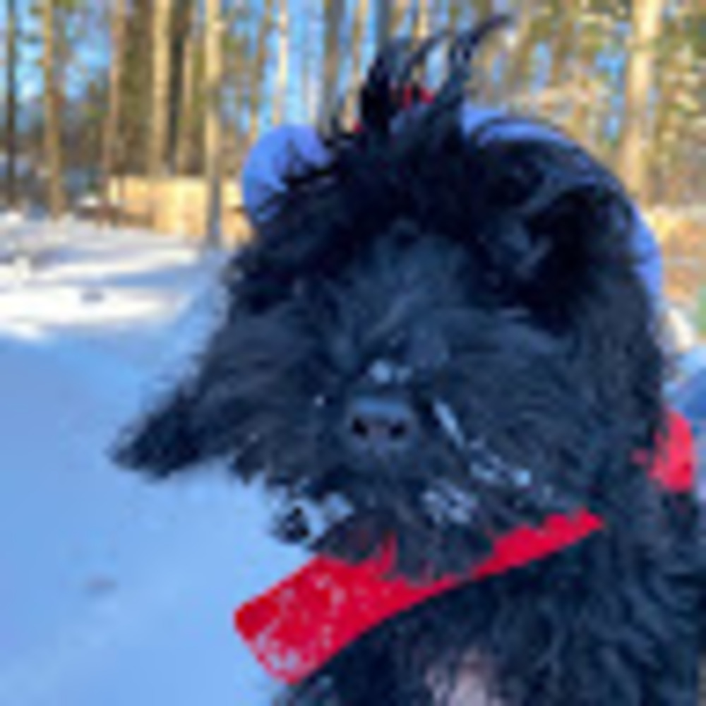 Meet your Posher, Leah